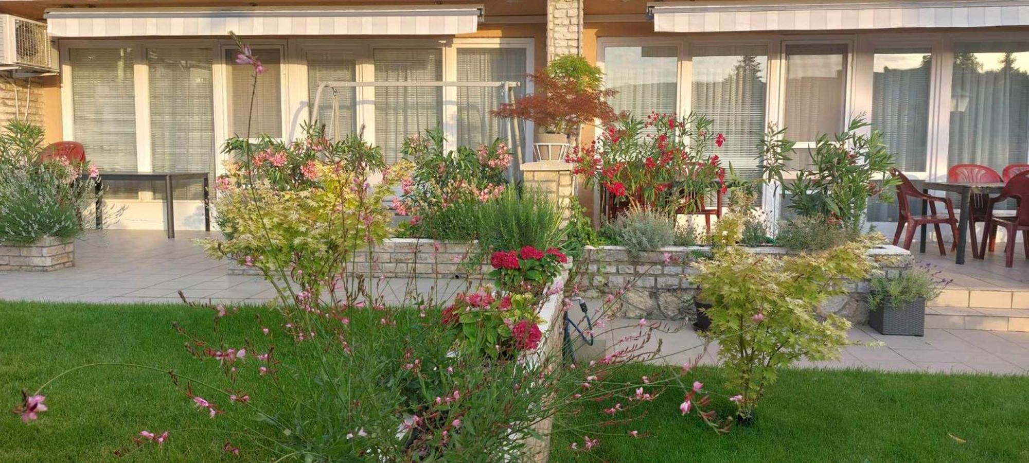 Siesta Apartmanhaz Balatonfuered Εξωτερικό φωτογραφία